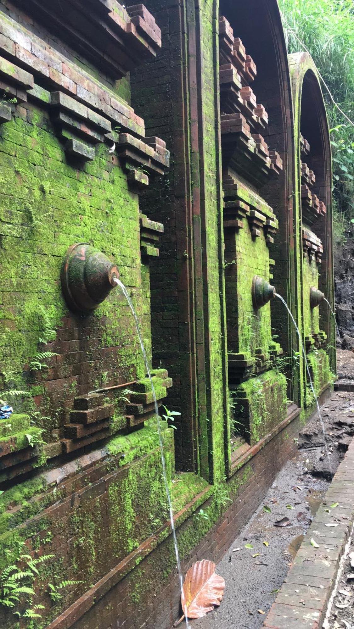 Capella Ubud, Bali Экстерьер фото