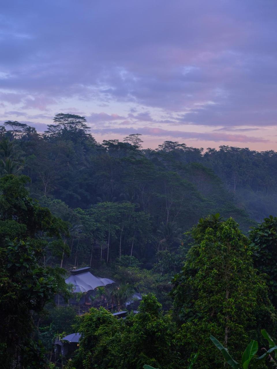 Capella Ubud, Bali Экстерьер фото