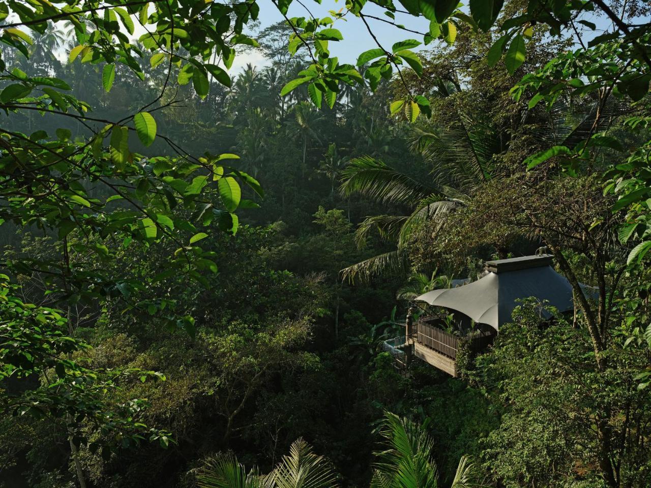 Capella Ubud, Bali Экстерьер фото